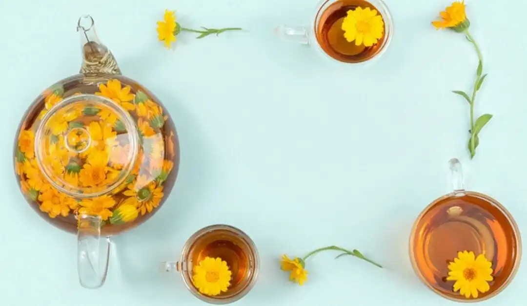 What Are Adaptogens?