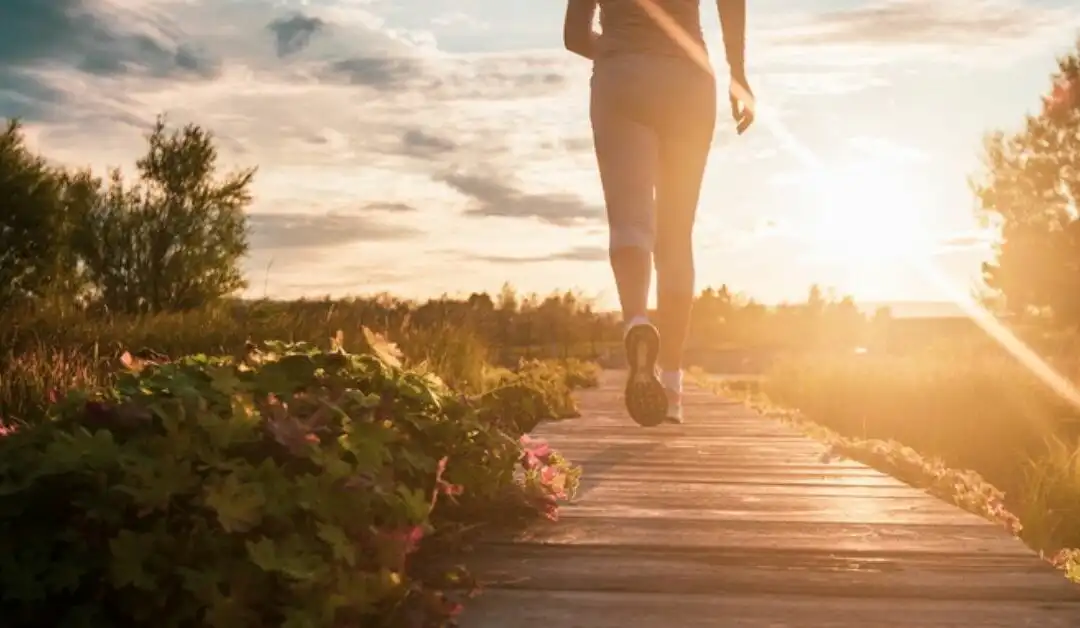 8 Reasons to Keep your Body Moving.