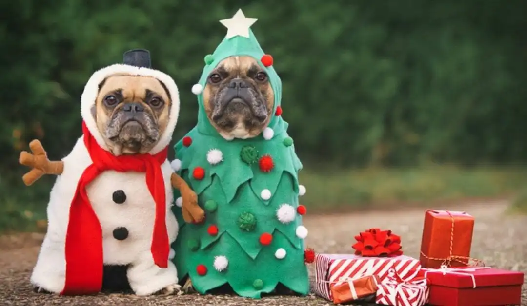 How to go from Office to ‘Party Chic’.