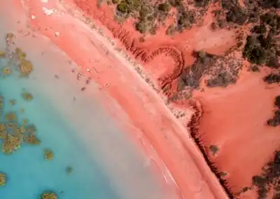 Why do I Love my Collagen Supplement for Anti-Ageing ❤